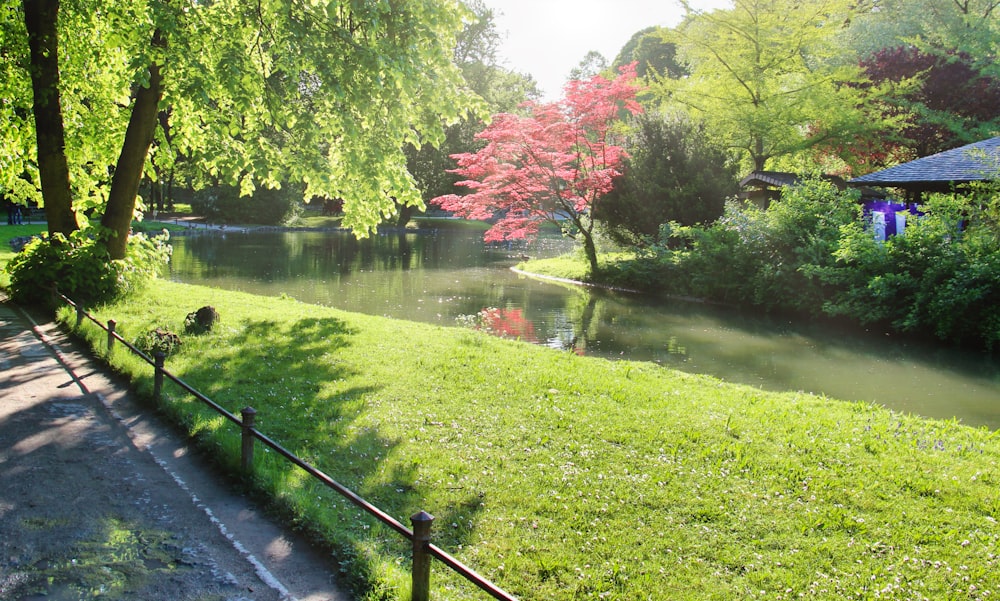 green grass field near body of water during daytime