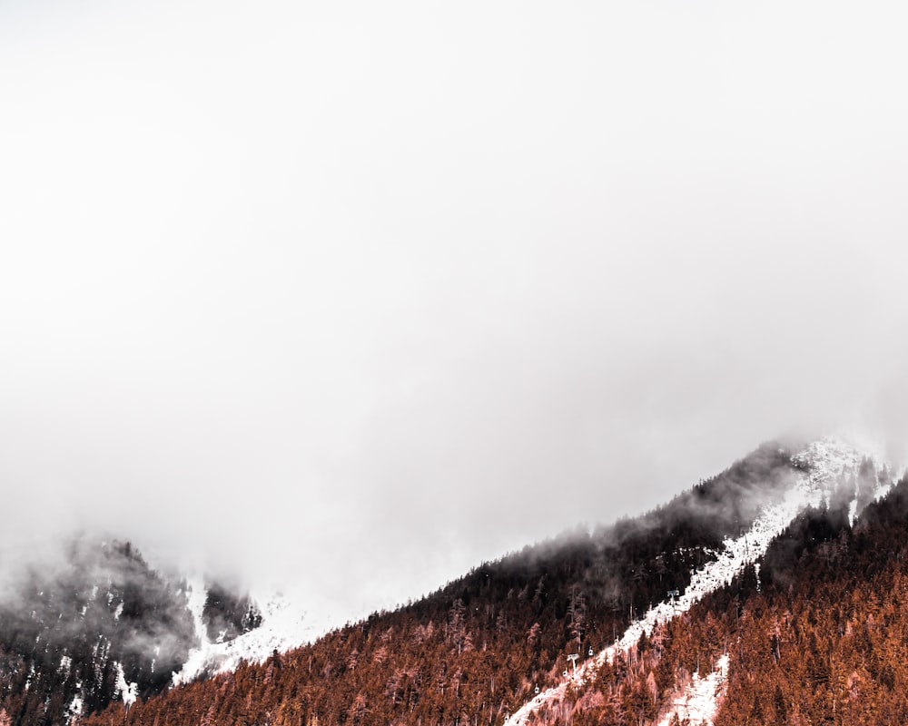 black and white mountain covered with white fog