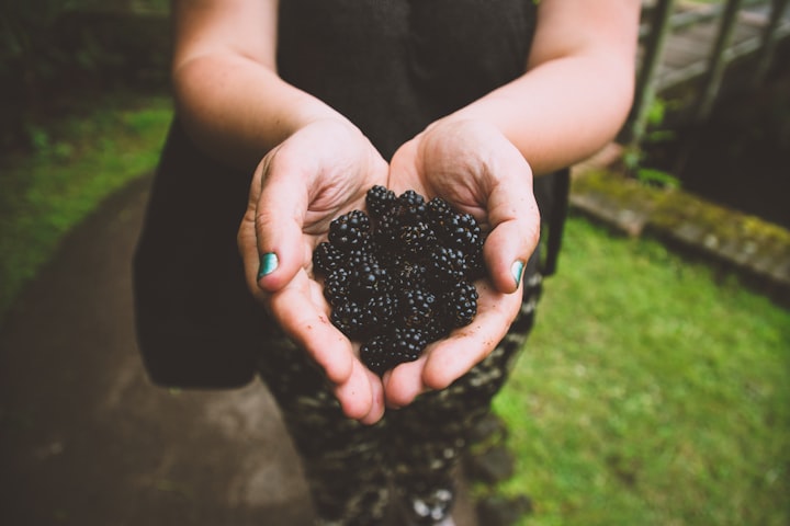 Blackberry Bushes in Oak Creek