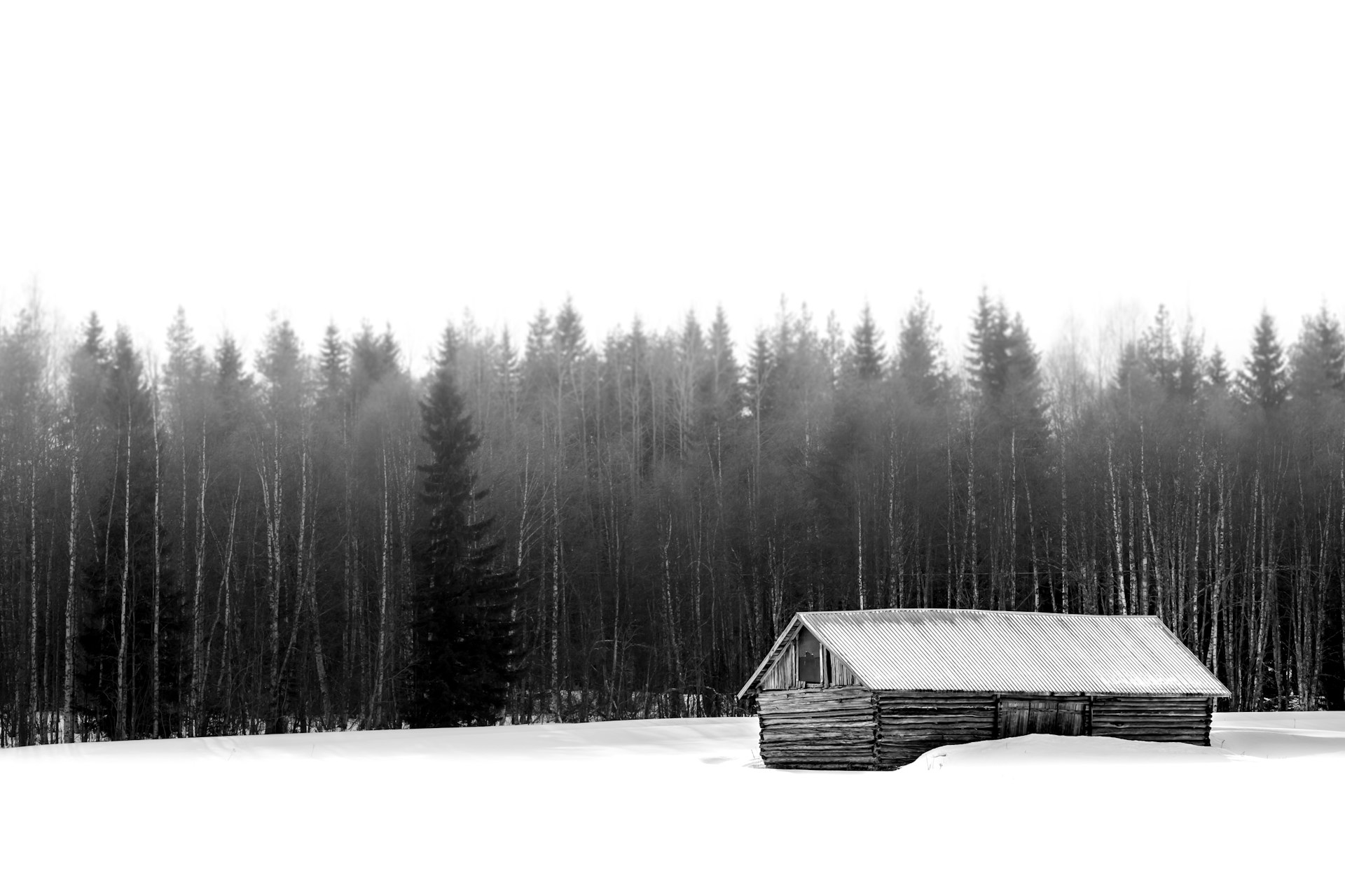 white wooden house near trees during daytime