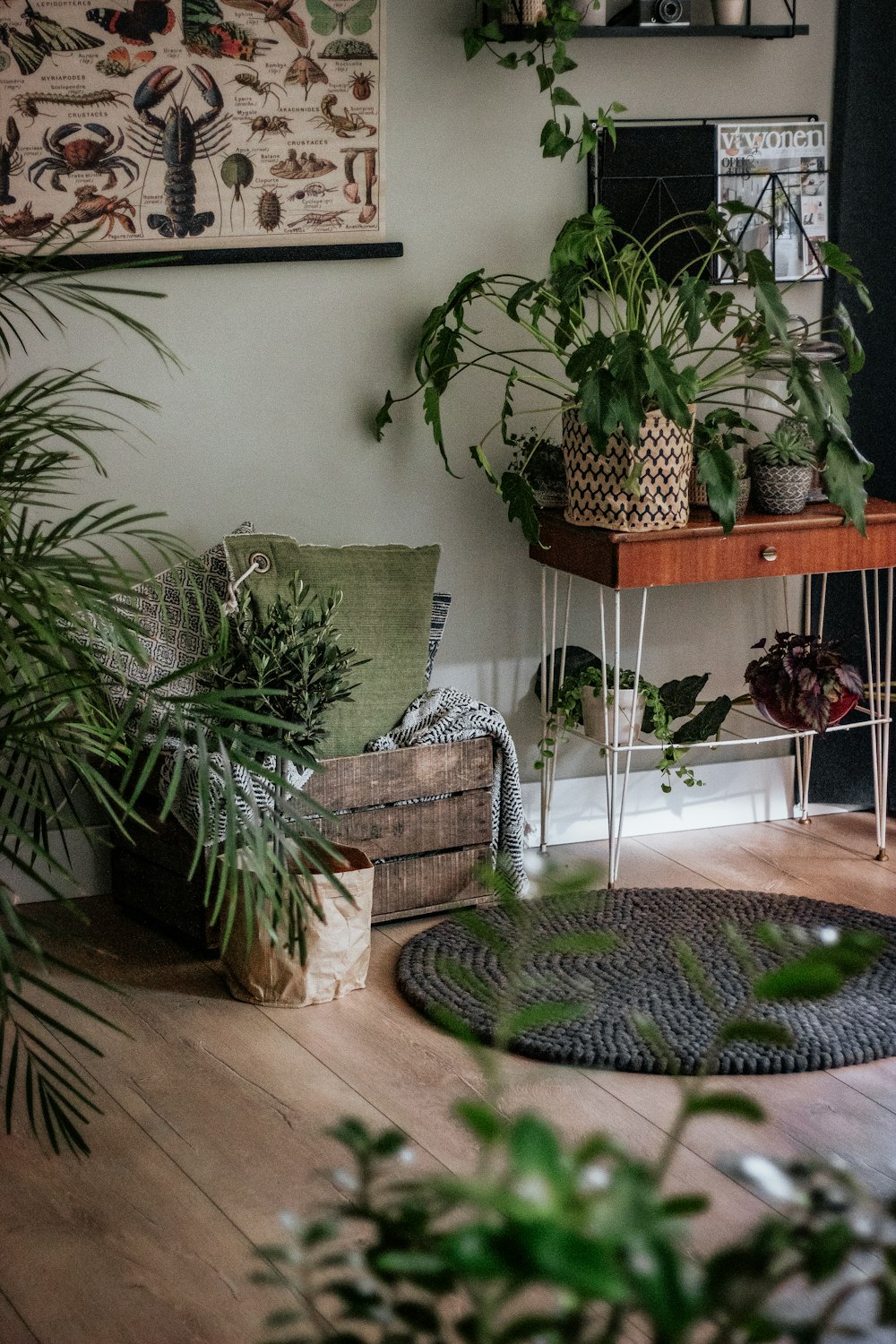 green potted plant on brown wooden table