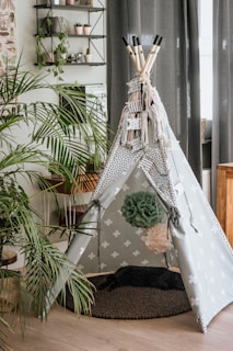 white hammock near green palm plant