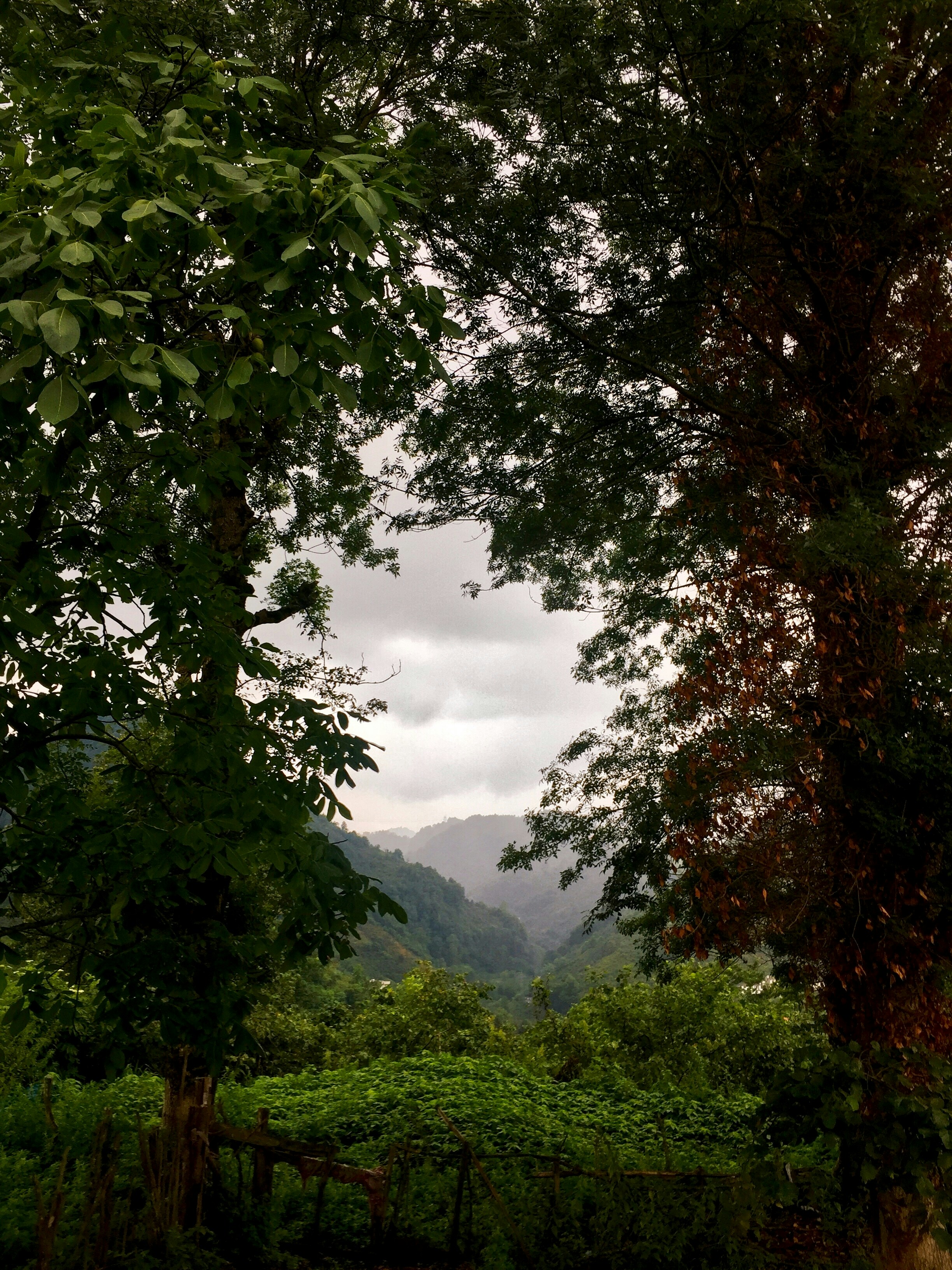 Photo by alpduran