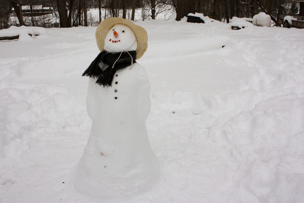 snowman with white hat on snow covered ground during daytime