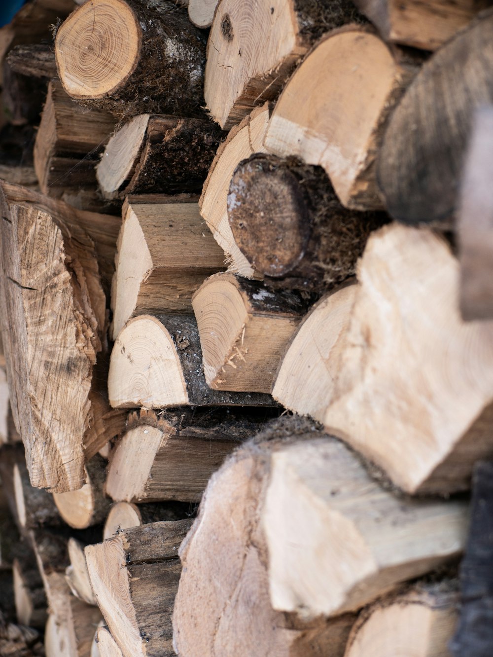 brown and black wood logs