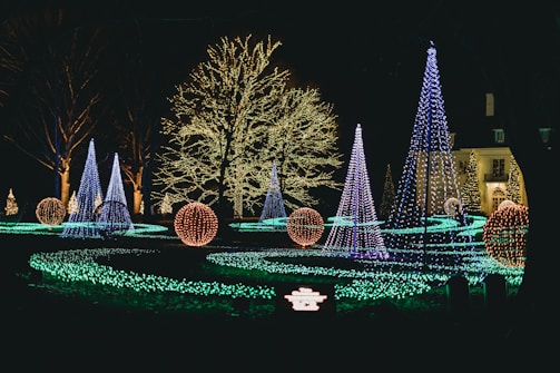 A festive outdoor garden scene with twinkling lights and seasonal plants.