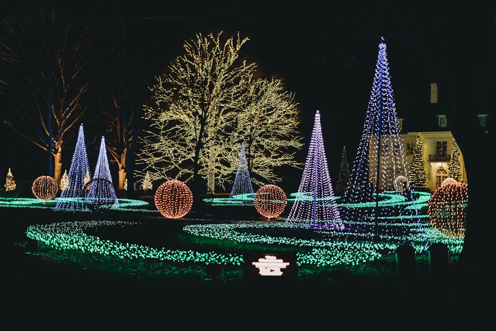 Albero di Natale verde con luci a stringa durante la notte