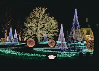 green christmas tree with string lights during night time