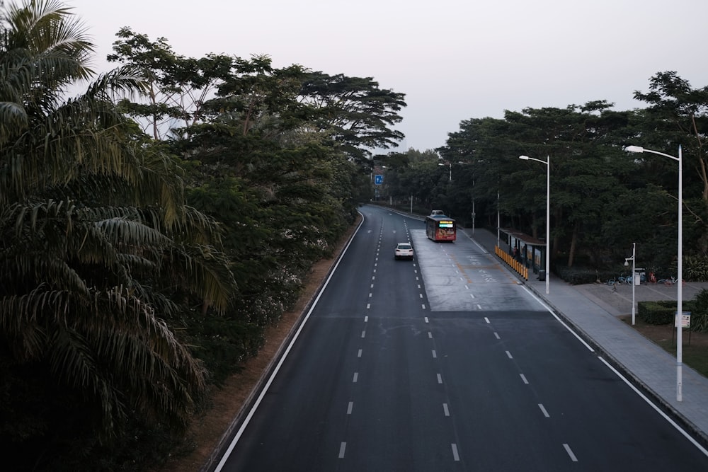 black car on road between green trees during daytime