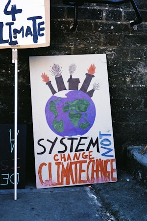 A protest sign with a drawing of Earth topped by factory smokestacks emitting smoke and flames, accompanied by the text 'SYSTEM CHANGE NOT CLIMATE CHANGE' in bold letters. The sign leans against a brick wall along with another partially visible sign.