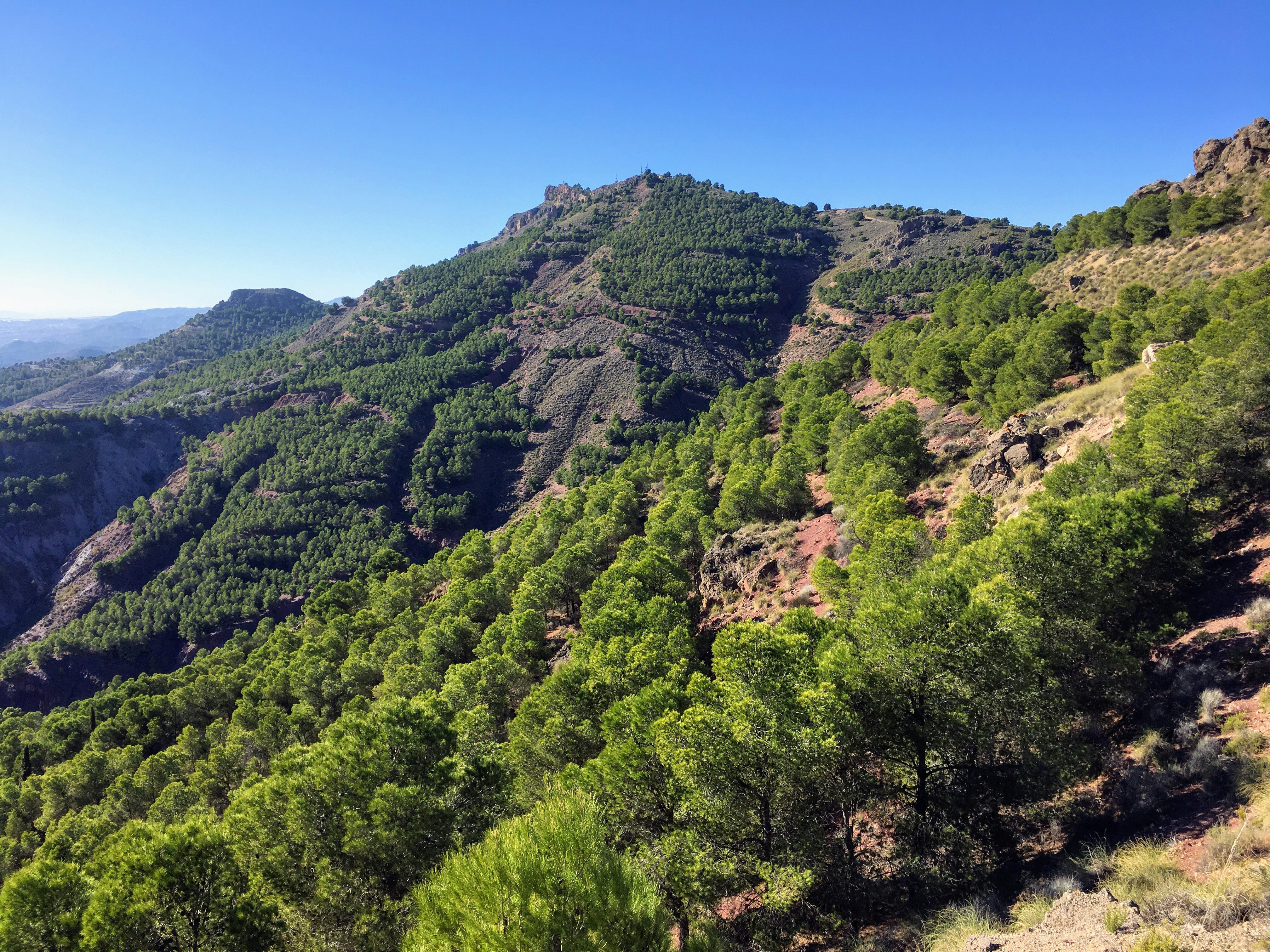 green trees on mountain under blue sky during daytime, 