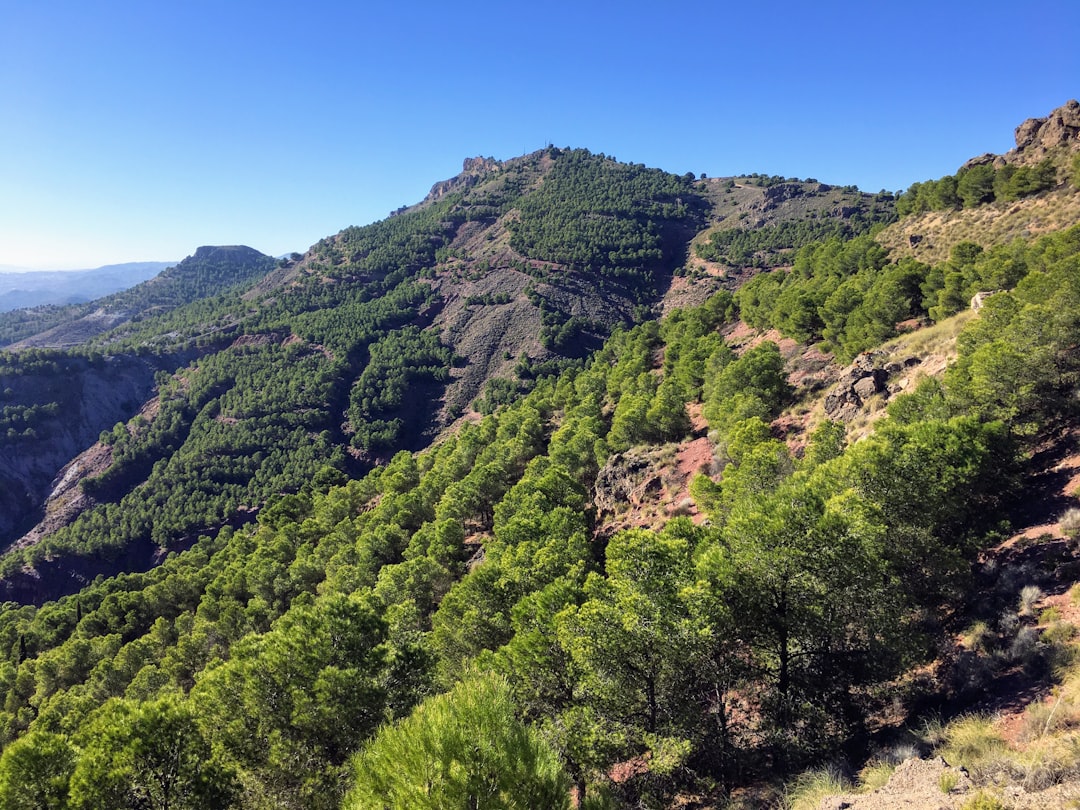 Off the Beaten Path: A First-Timer's Guide to Murcia, Spain's Undis… — Off the Beaten Path