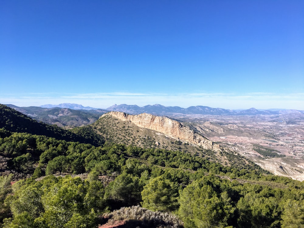 green trees on mountain under blue sky during daytime