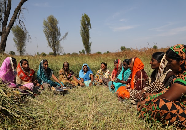 people sitting on grass field during daytime