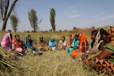 people sitting on grass field during daytime