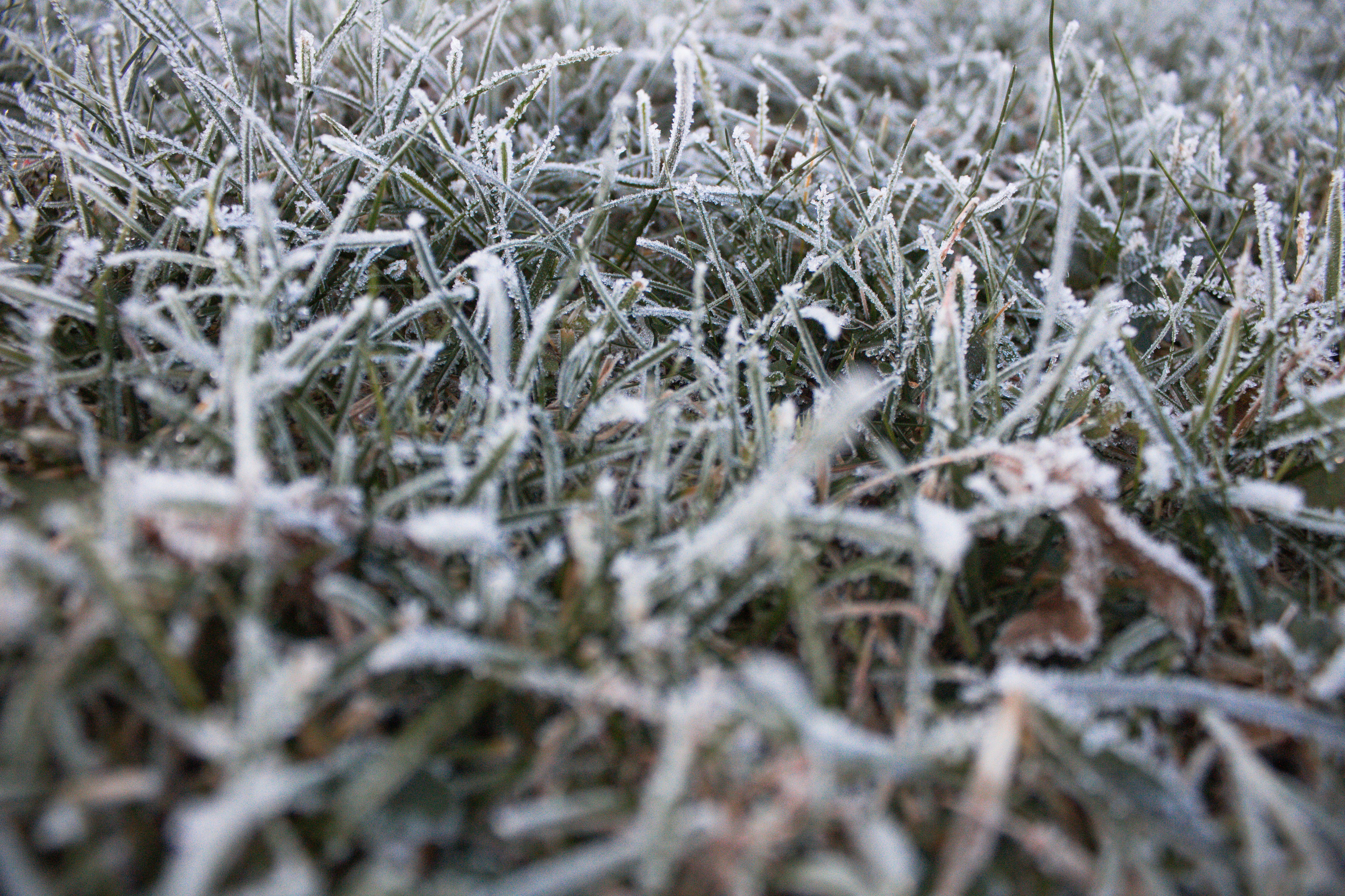 Photo by marlene_haiberger