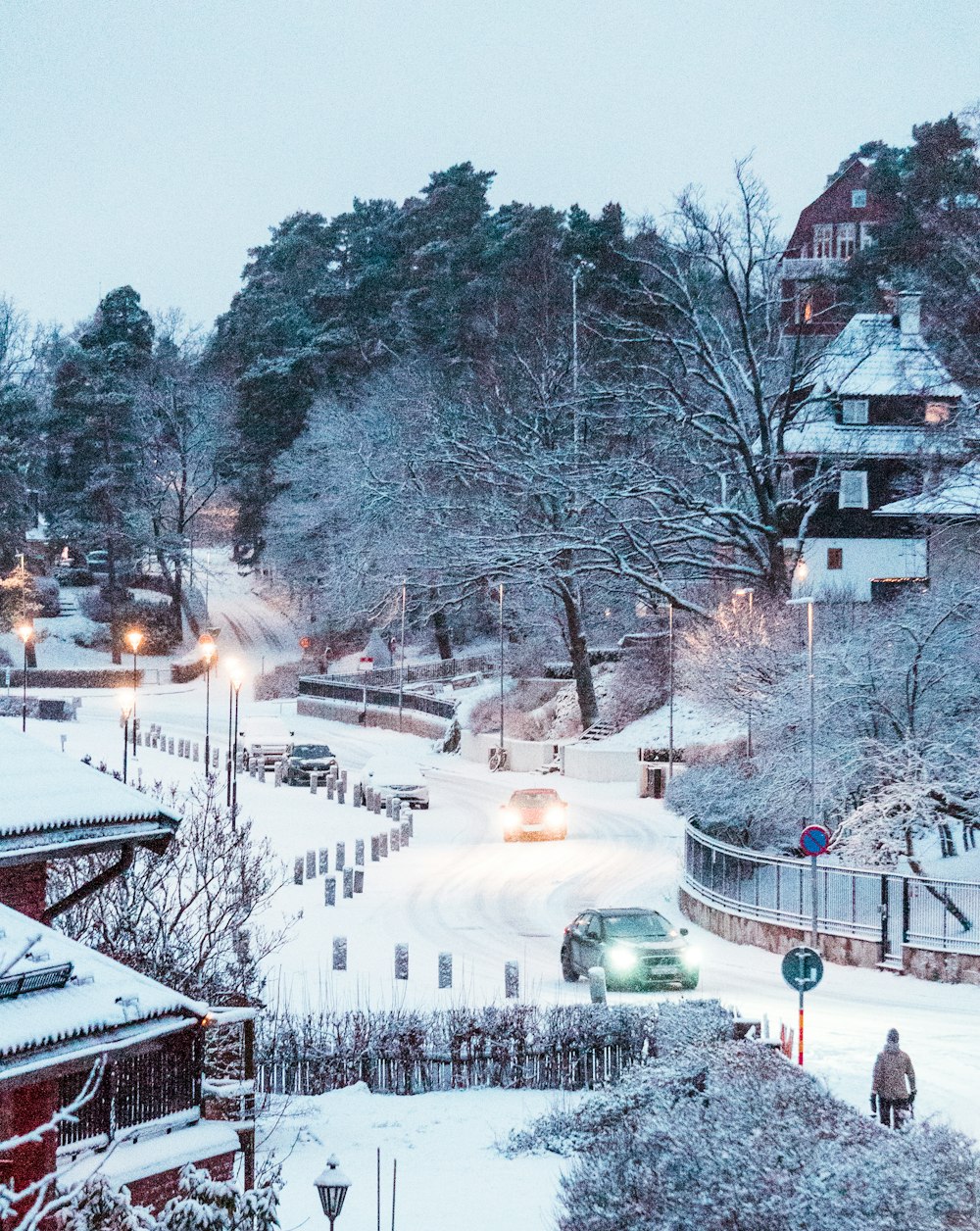 people walking on snow covered ground near trees during daytime