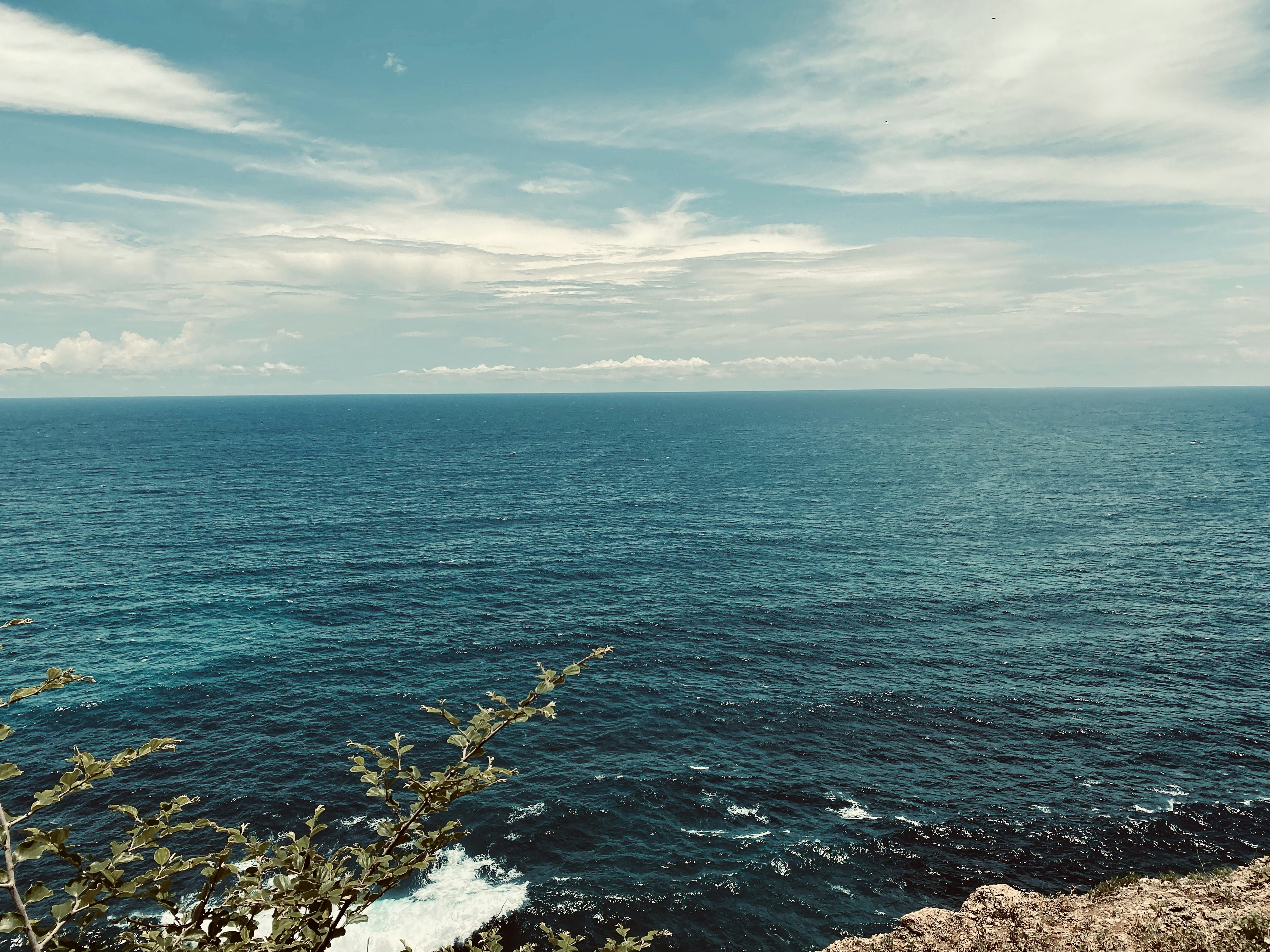 Photo by goodmanvn2003