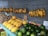 A variety of fruits and vegetables are displayed on a market stall. Bananas hang from the wall above, while below, there are piles of yams, yellow melons, and green mangos. Small signs with prices and some text in an Asian script are placed among the produce.