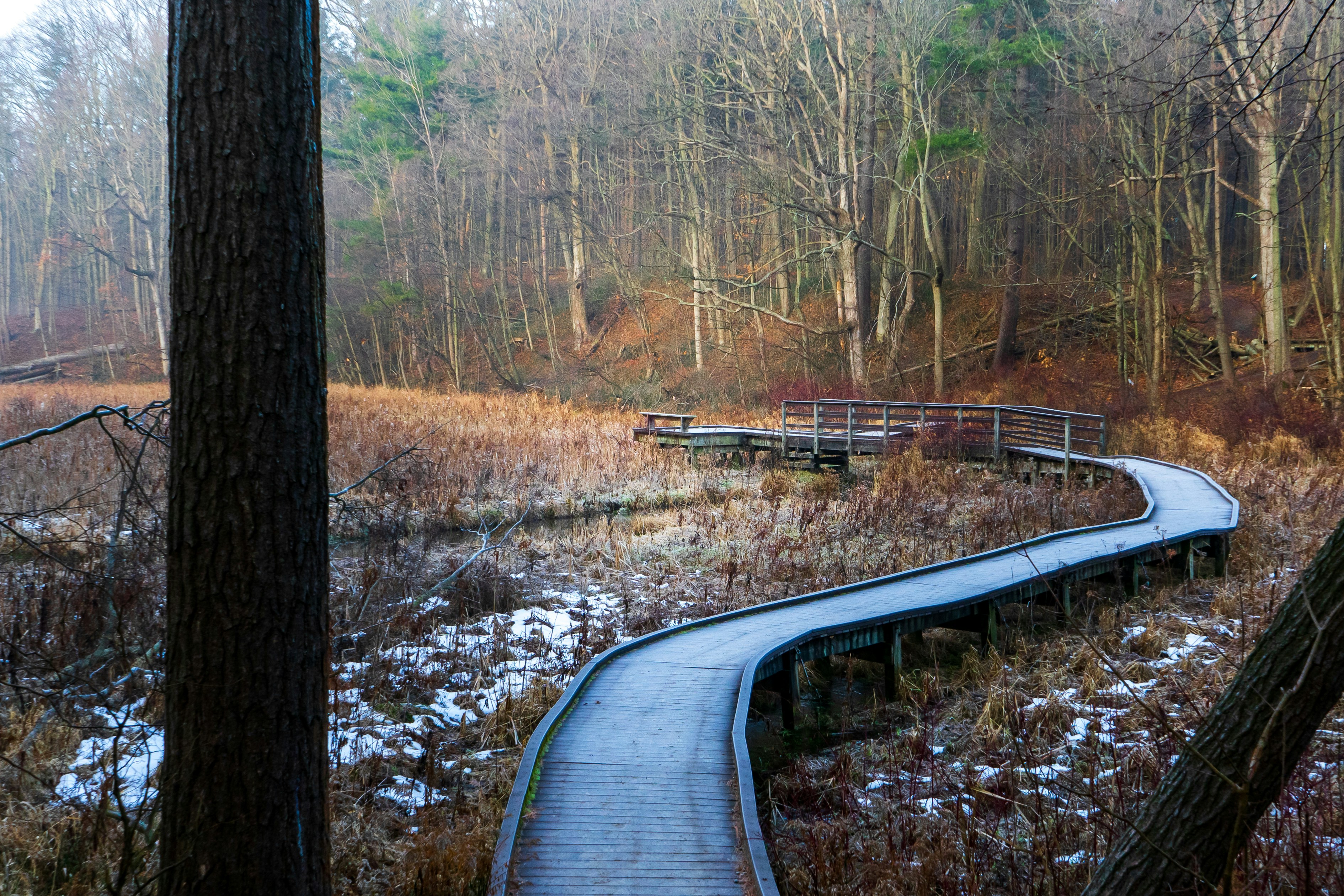 Photo by michael_g_krahn