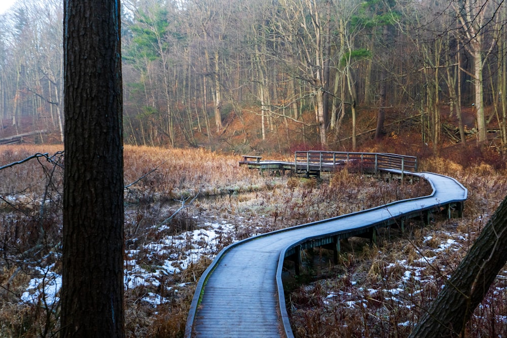 brown wooden bridge over river