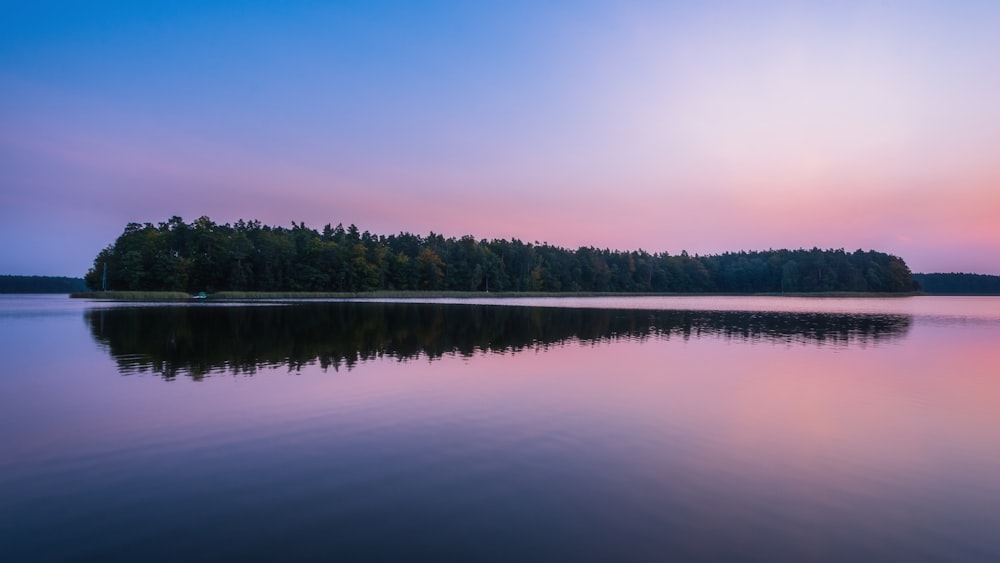 green trees beside body of water during daytime