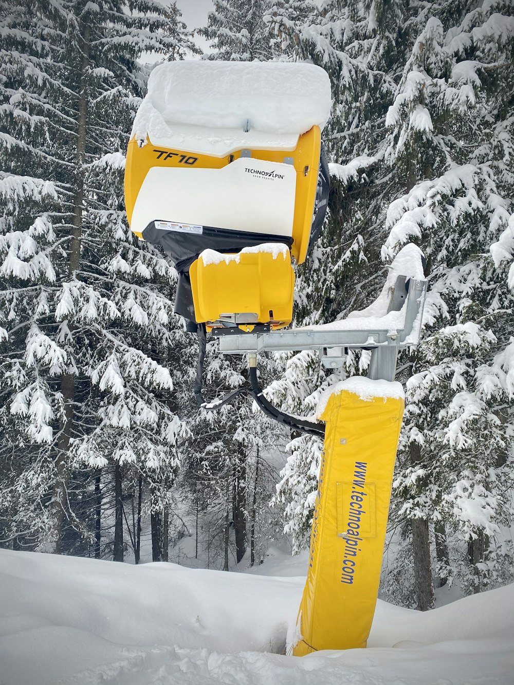 snow covered trees during daytime