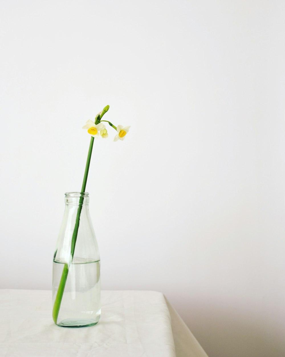 yellow flower in clear glass vase