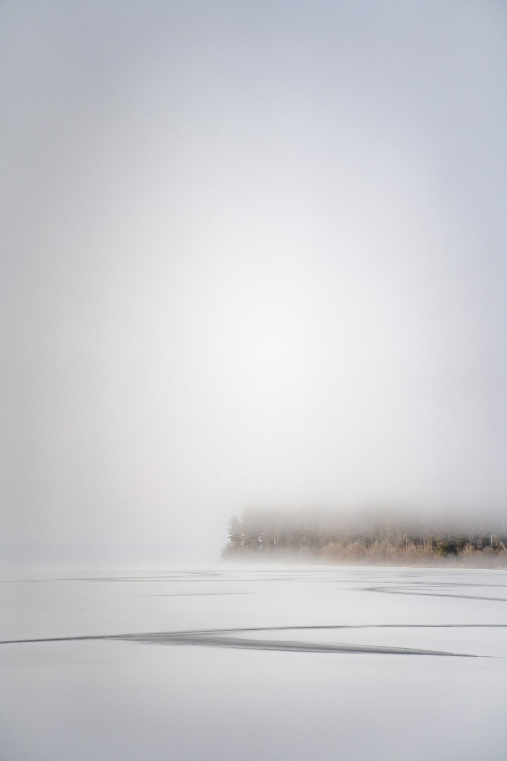 white snow covered field during daytime