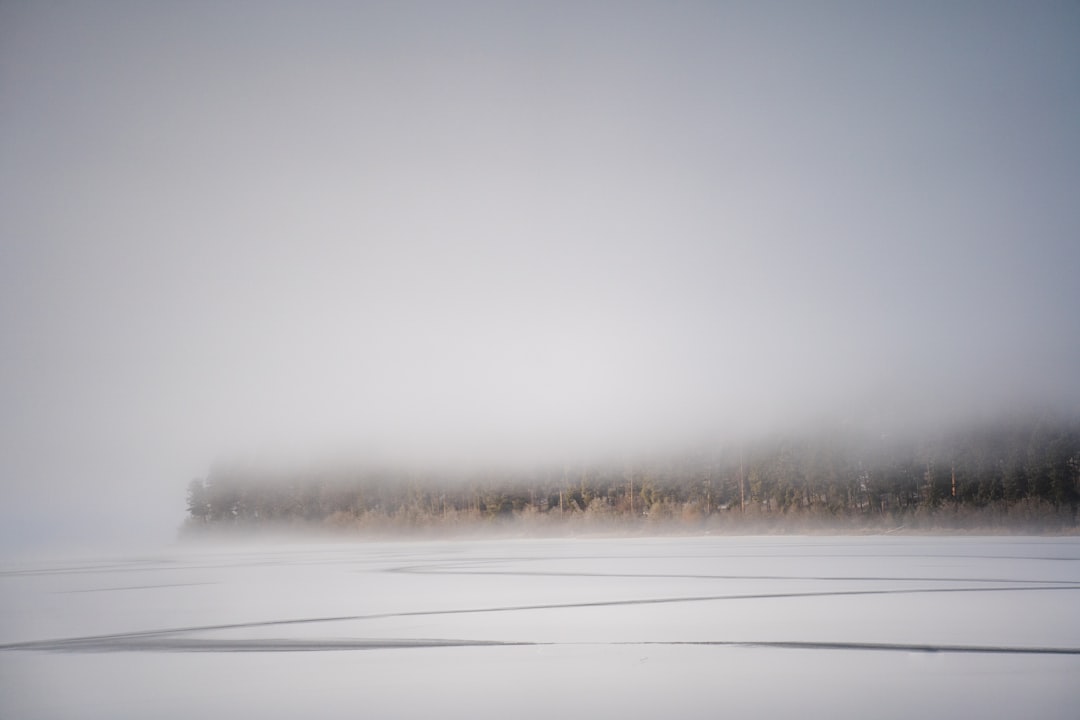 white snow covered field during daytime