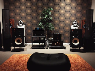 A cozy living room equipped with sound systems.