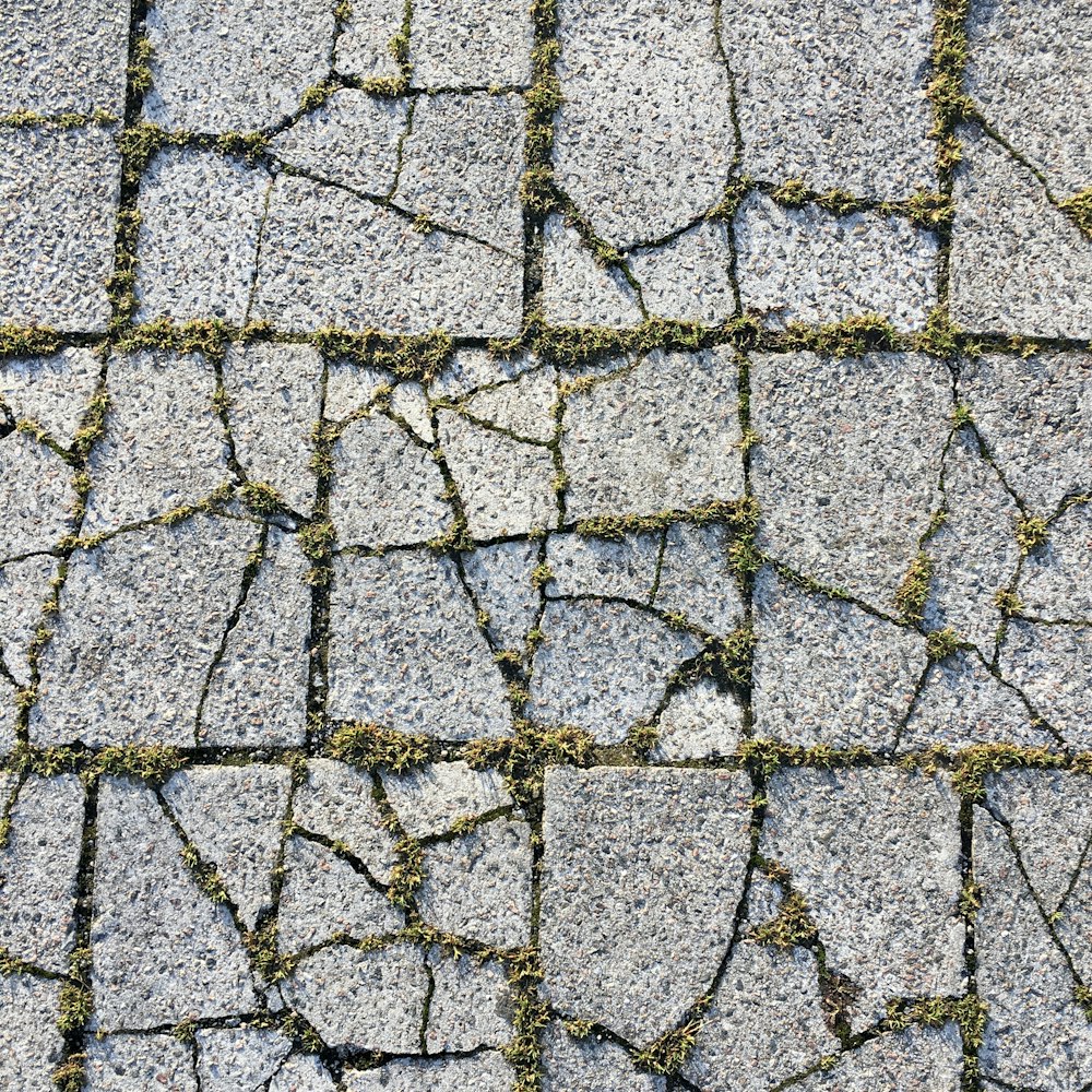 gray and black concrete pavement