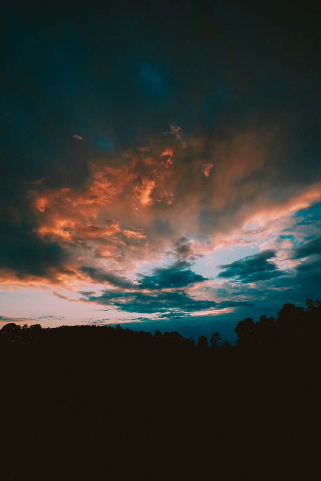 silhouette of trees under blue sky during sunset