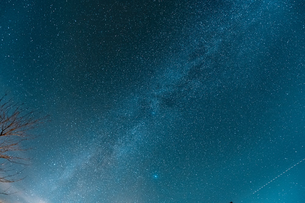 céu azul com estrelas durante a noite