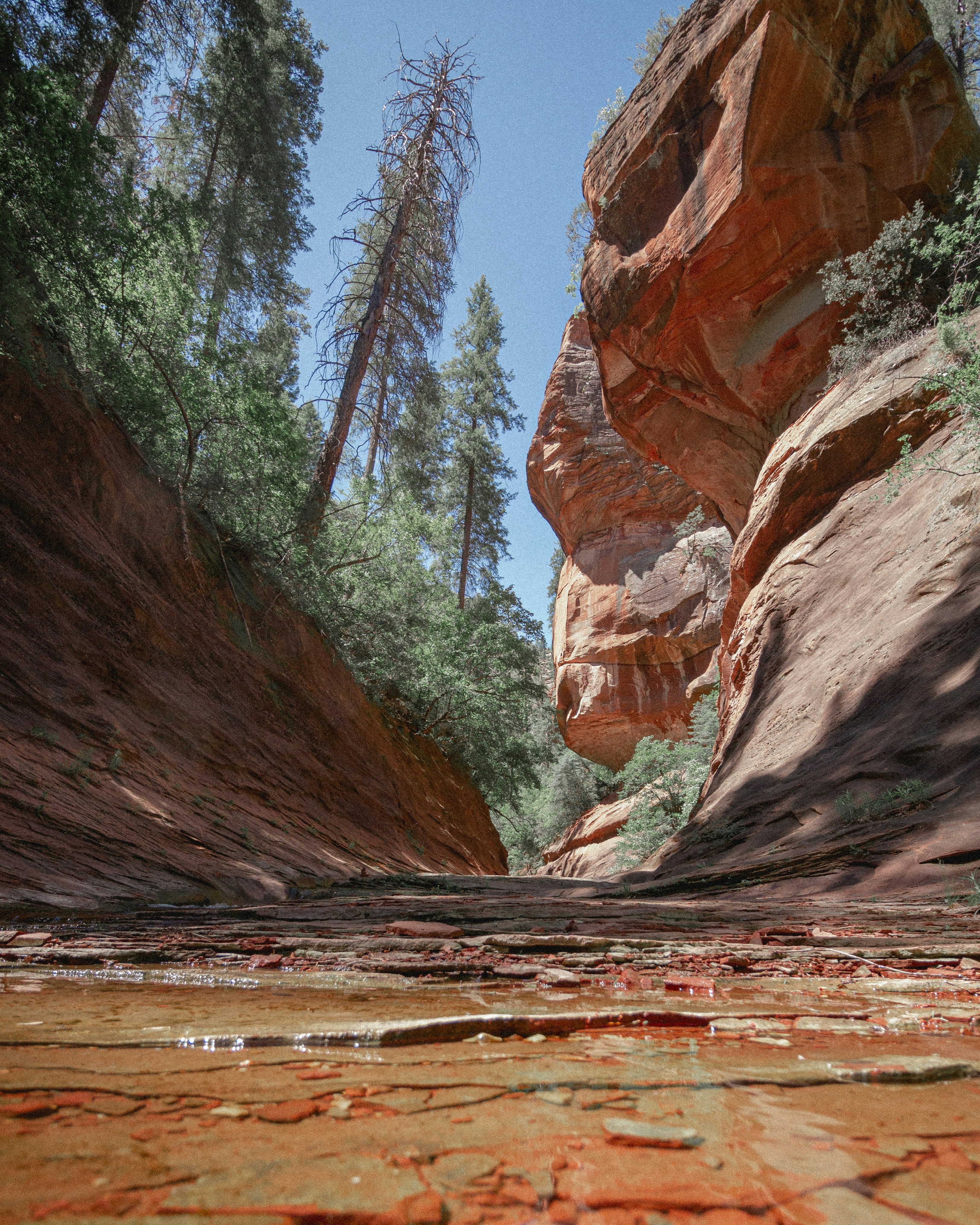 Photo by robertography