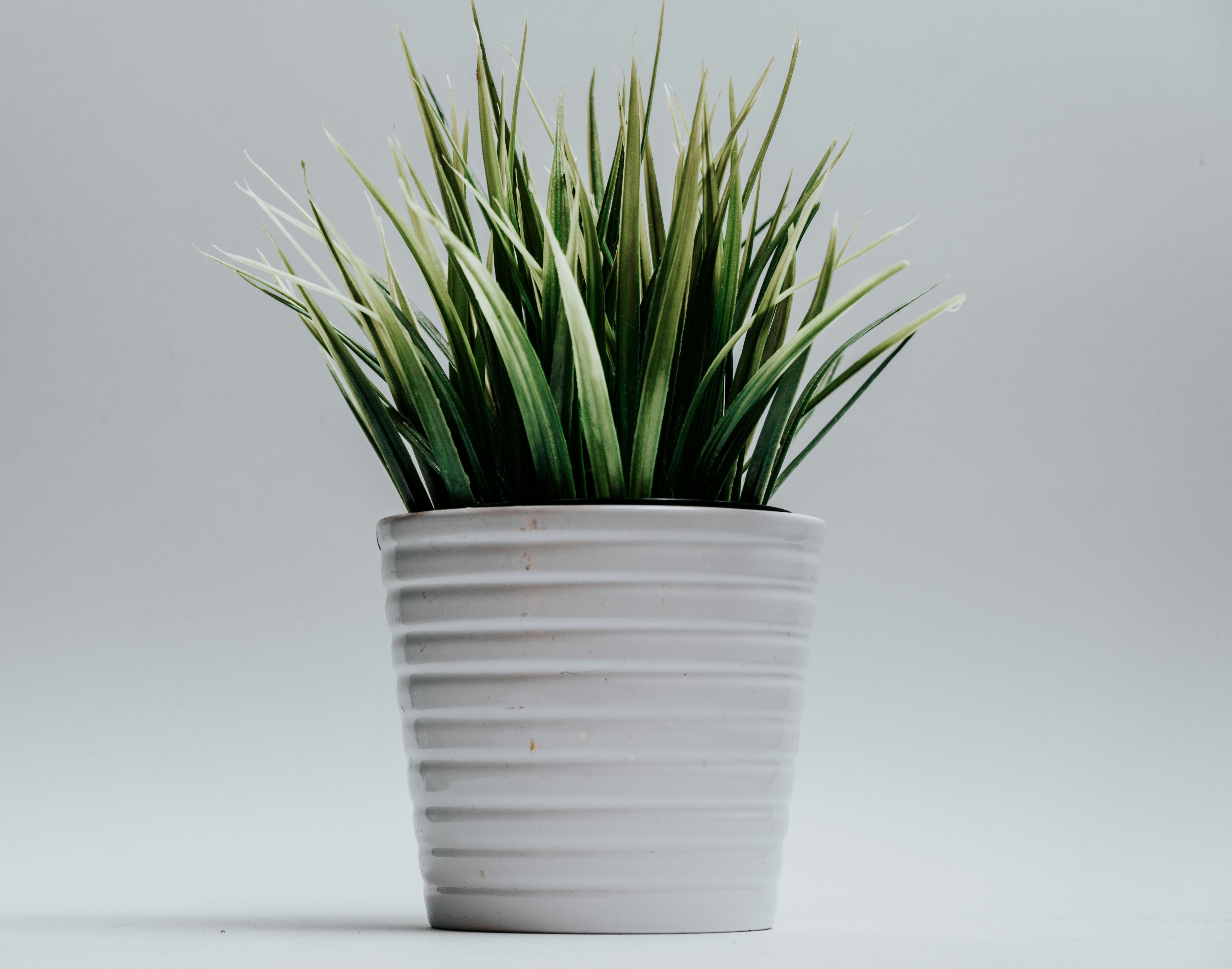 Photo by ceydaciftci