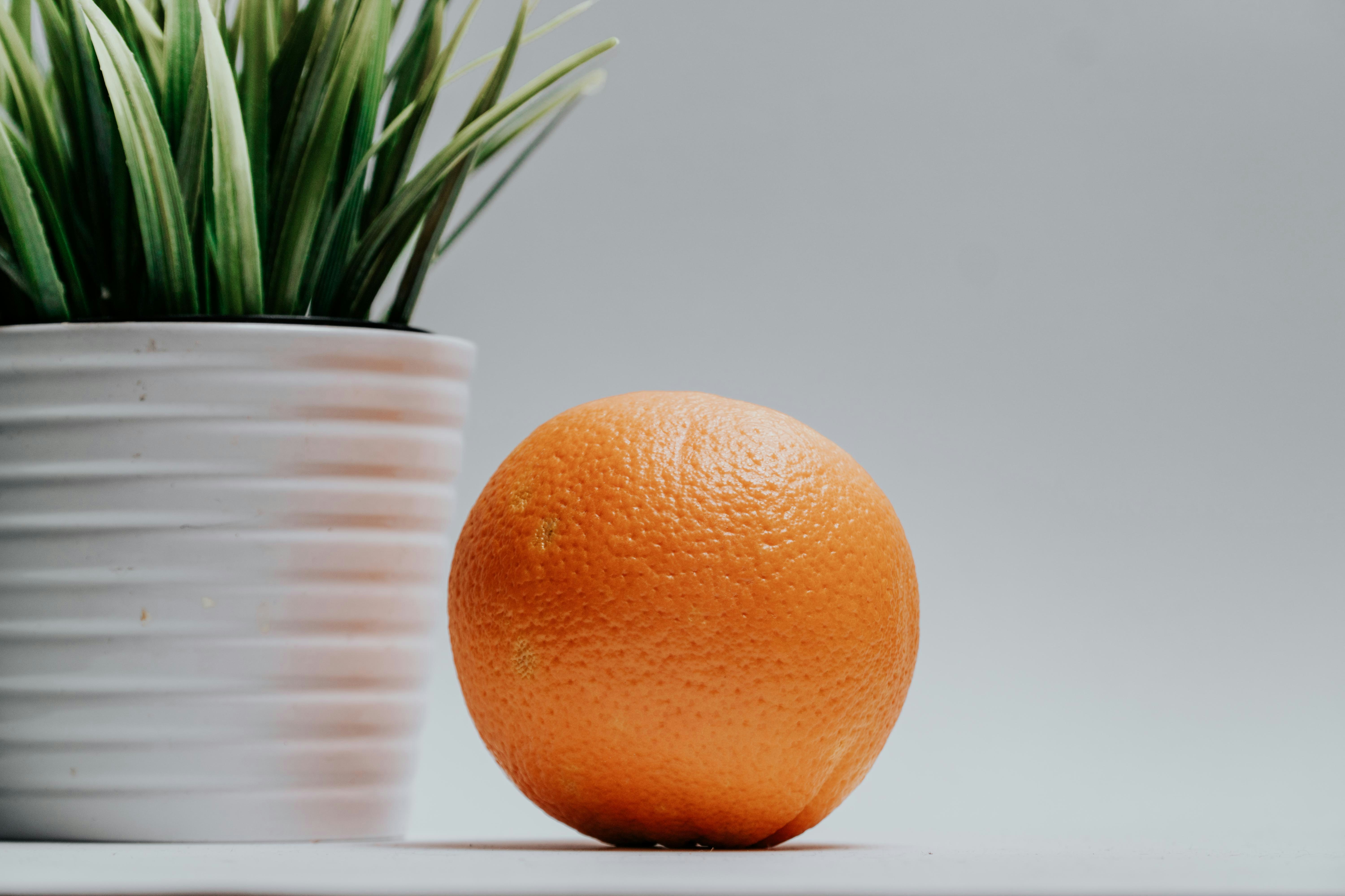 Photo by ceydaciftci