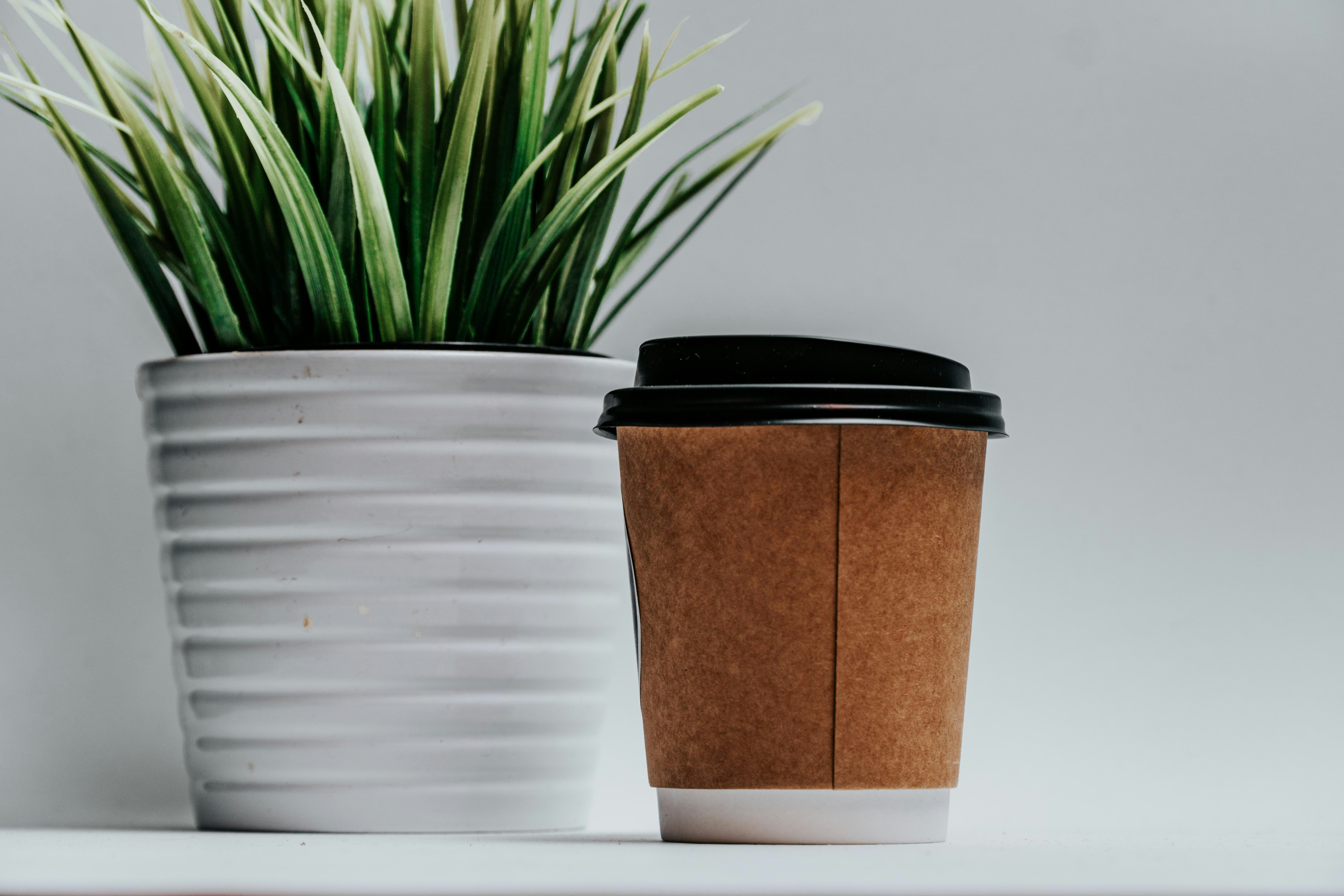 Photo by ceydaciftci