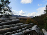 A chainsaw resting on logs with a scenic mountain background at sunset.