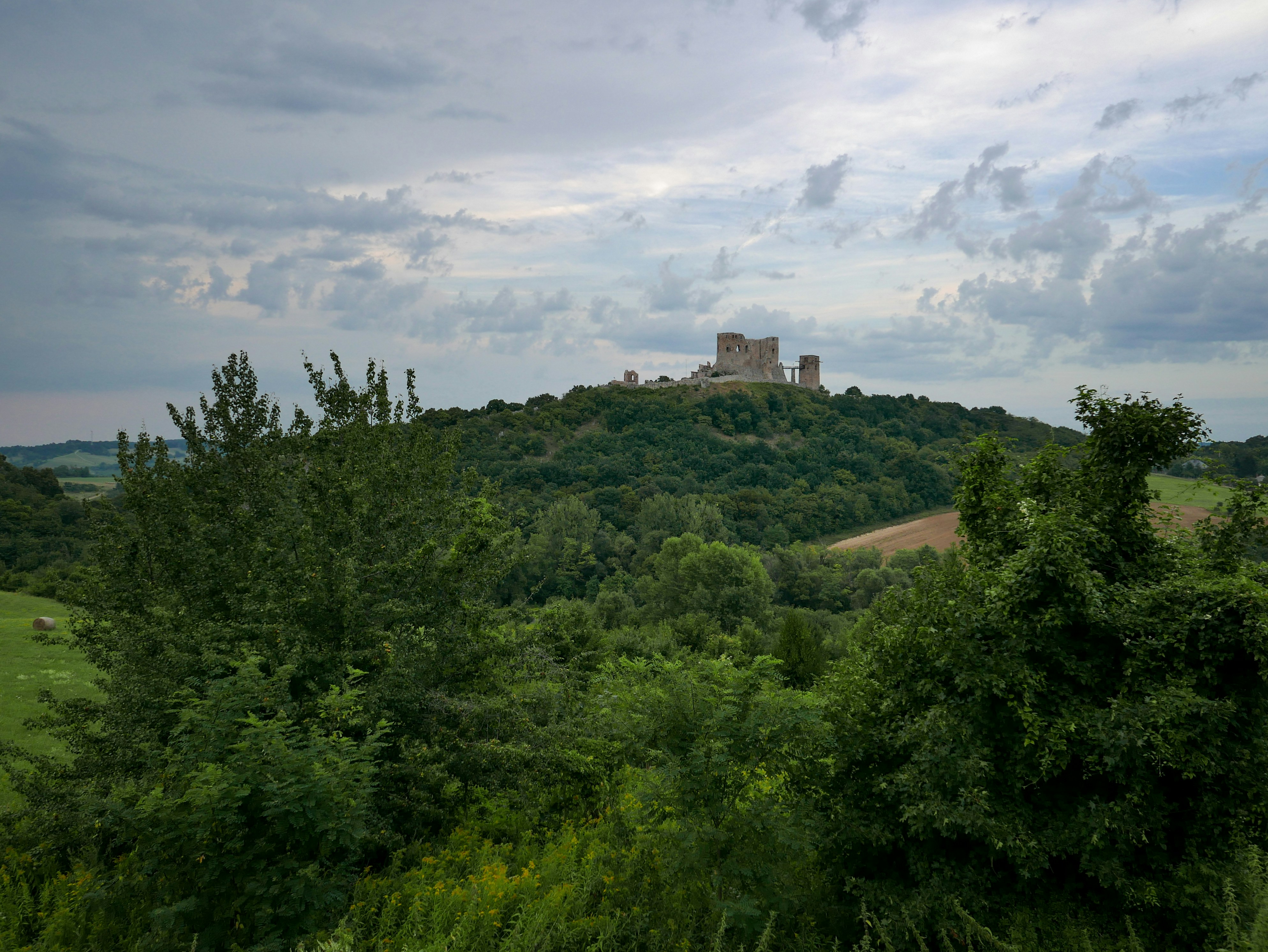 Photo by modry_dinosaurus