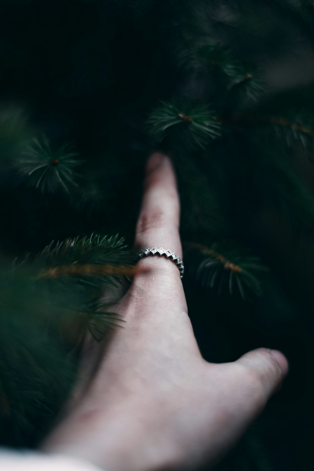 persons left hand with gold bracelet