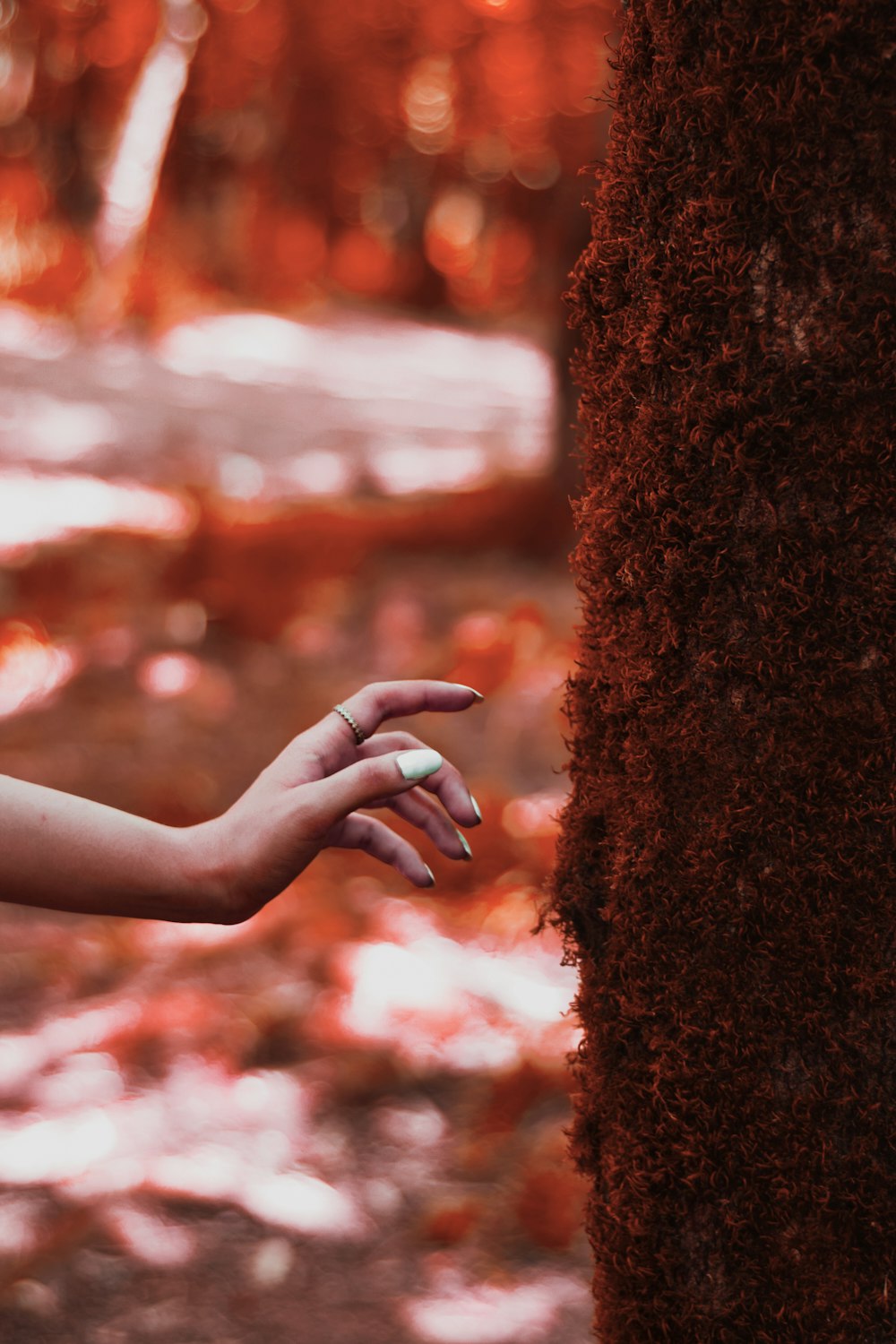 persons hand on brown rock