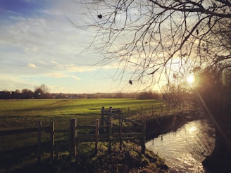 A serene plot of land near Lulu Mall, Lucknow, bathed in warm golden sunlight.