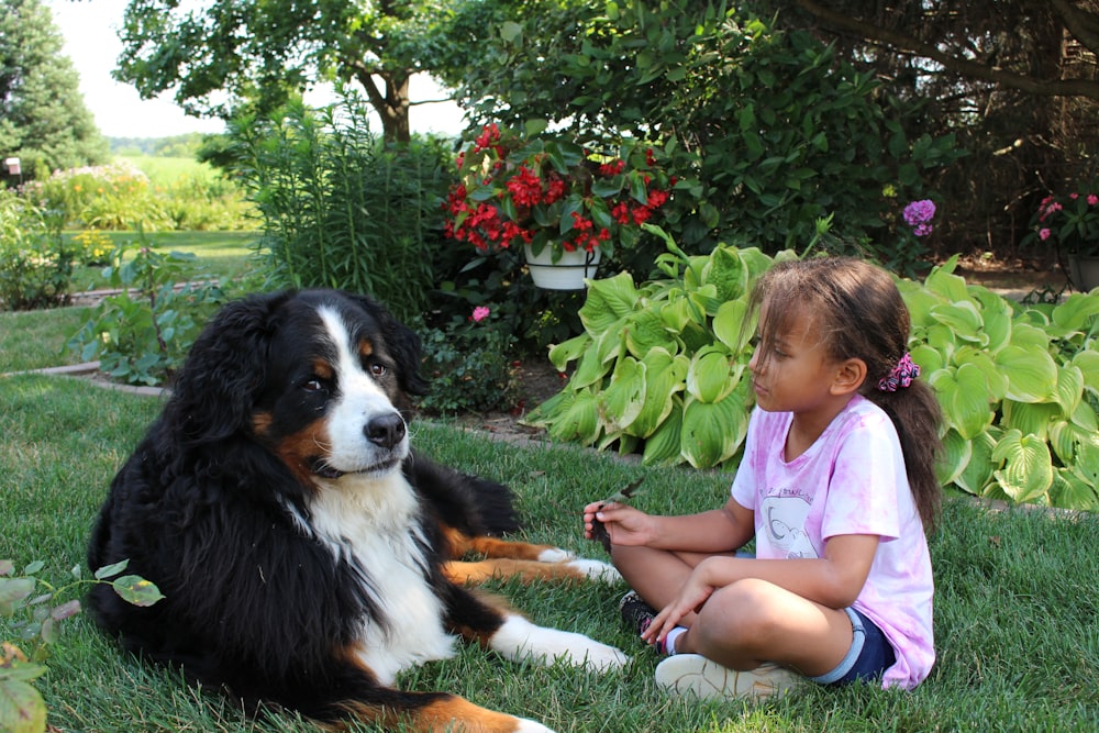 girl in pink dress playing with black white and brown dog