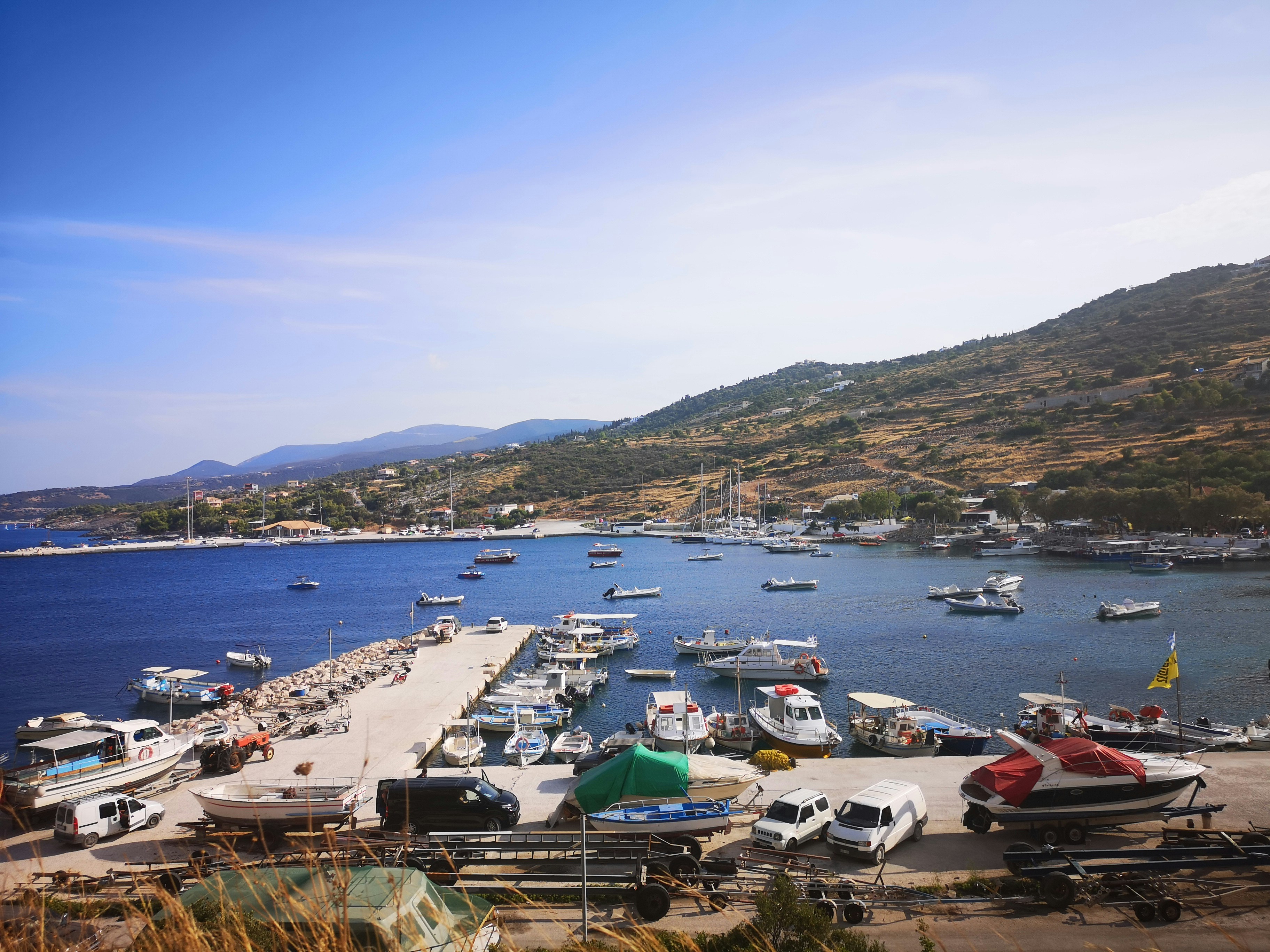 Photo by knuckles_echidna