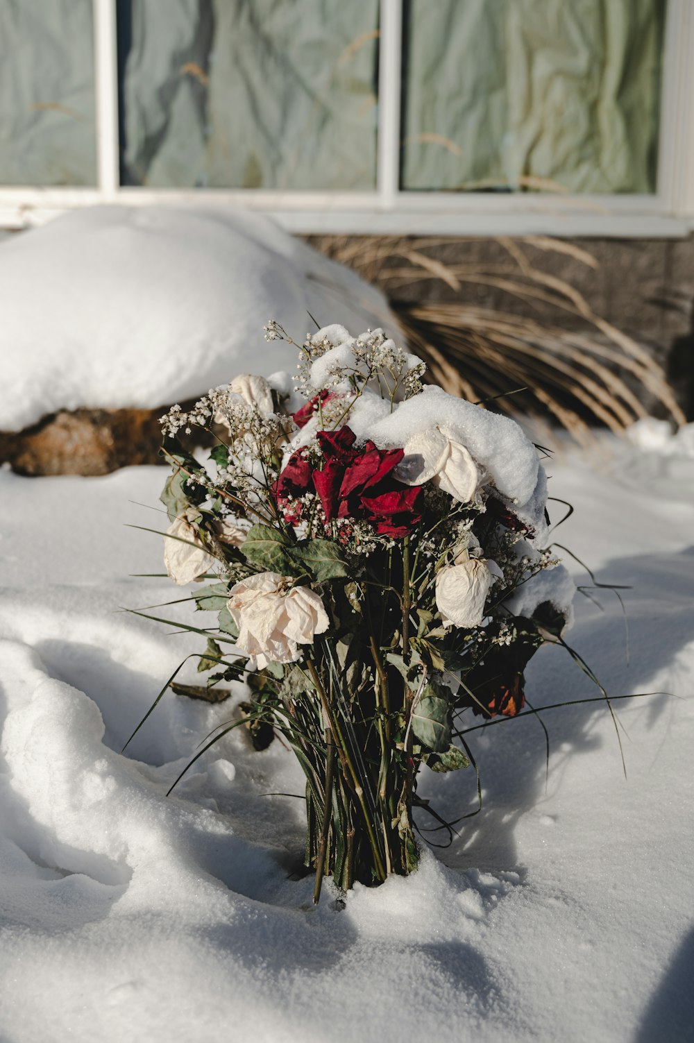 雪に覆われた地面に白と赤の花