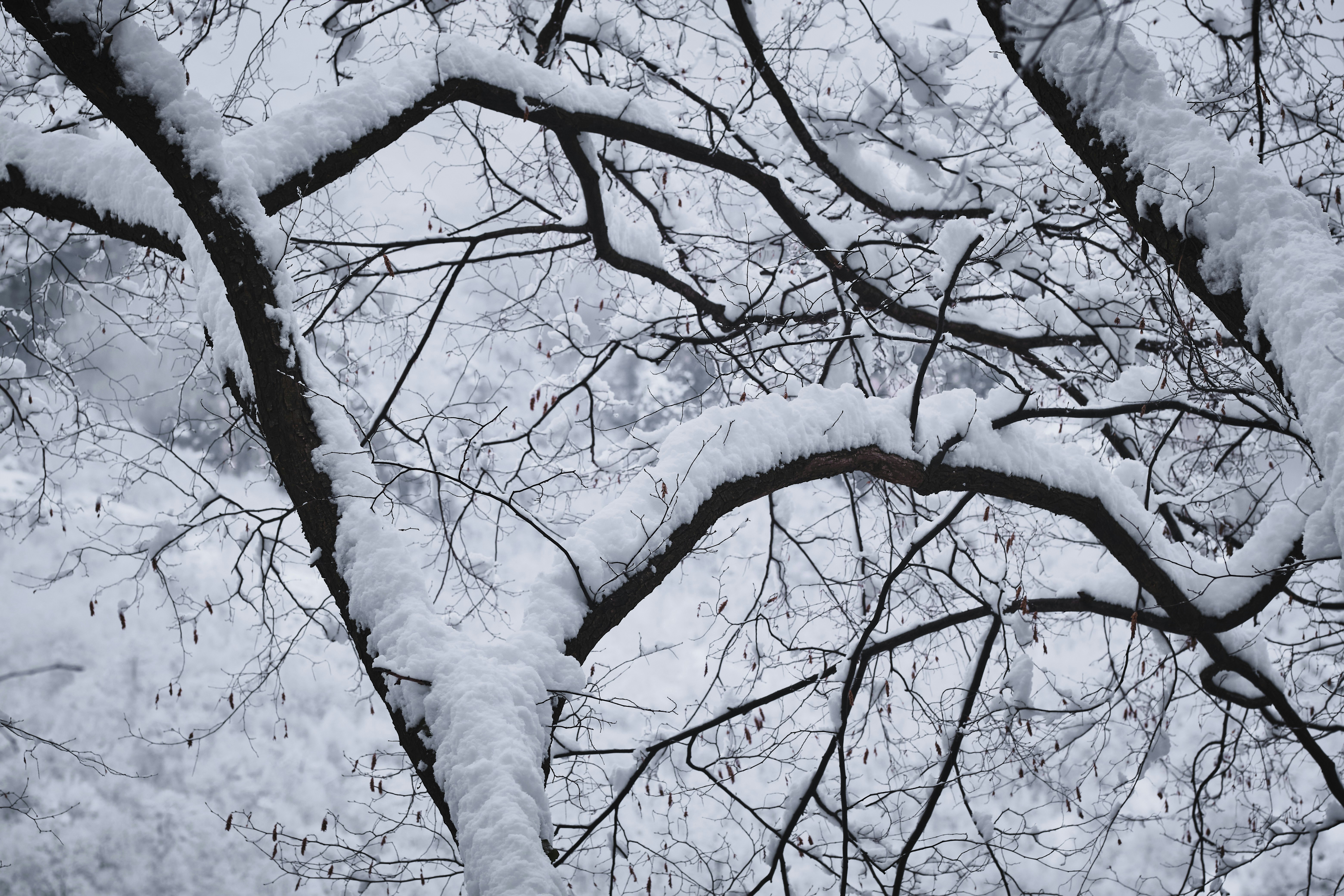 Photo by conti_photos