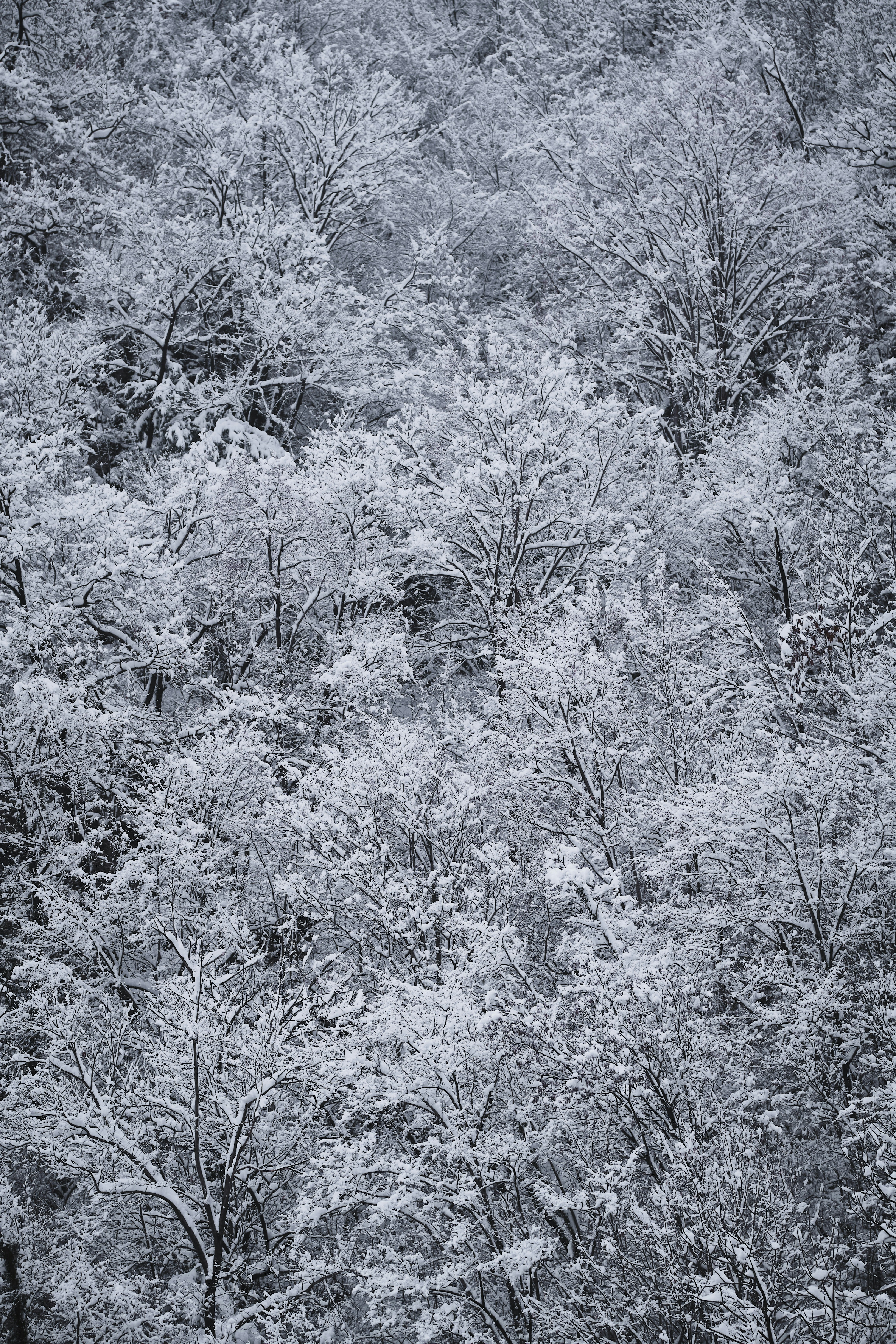 Photo by conti_photos