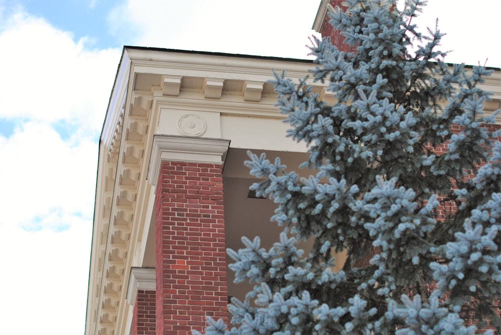 brown brick building with green tree