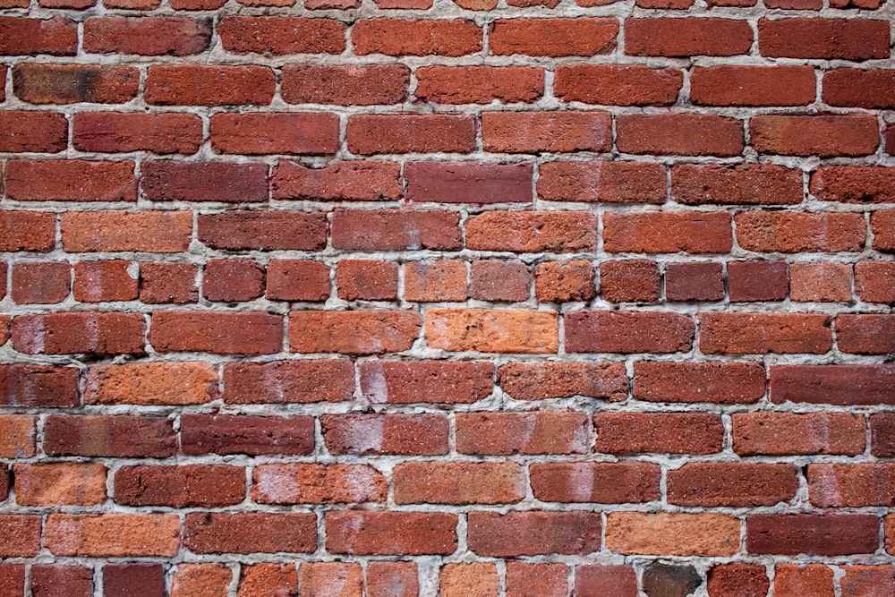 brown and white brick wall